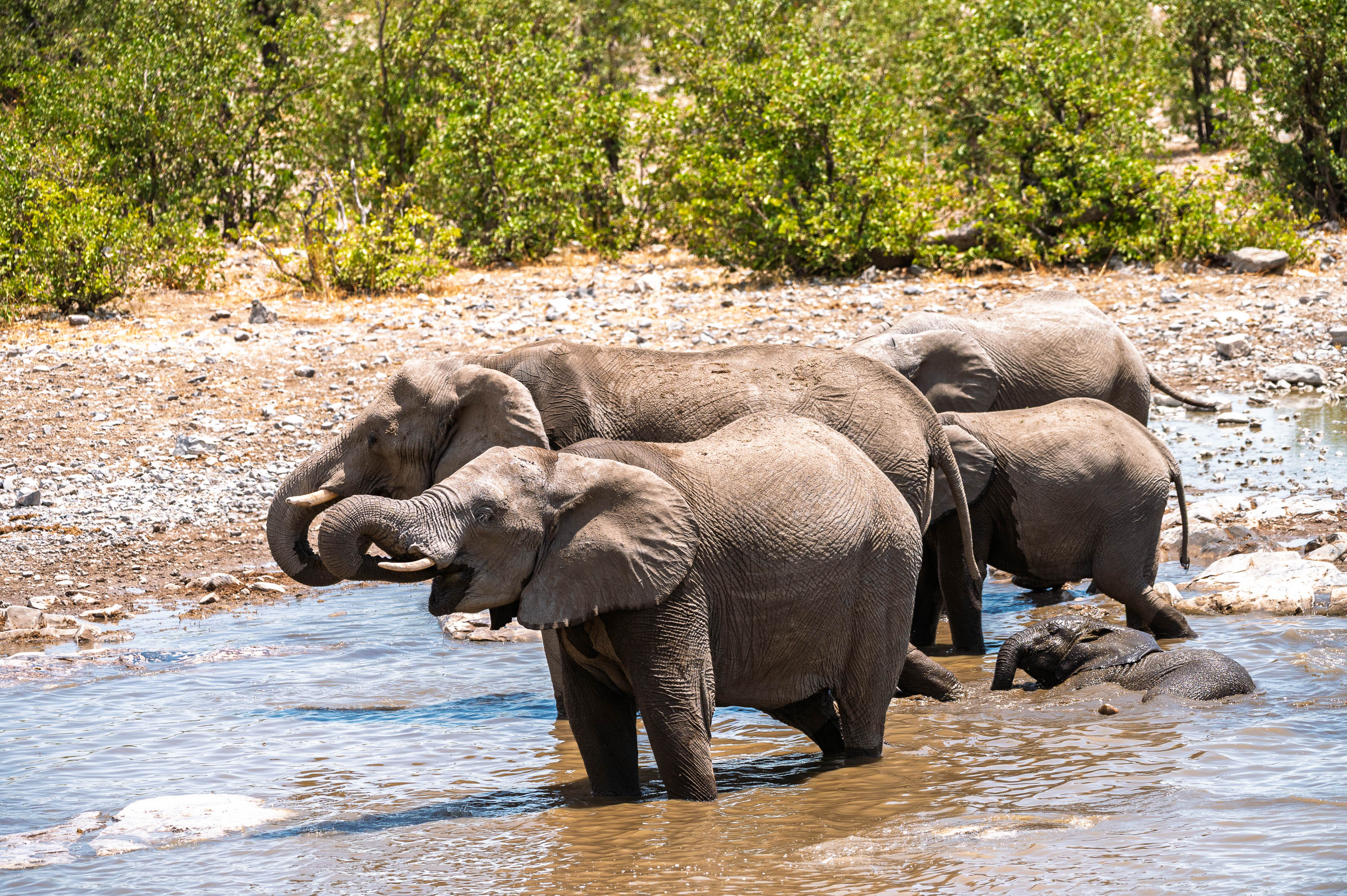 Afrika Reisefotografie 75