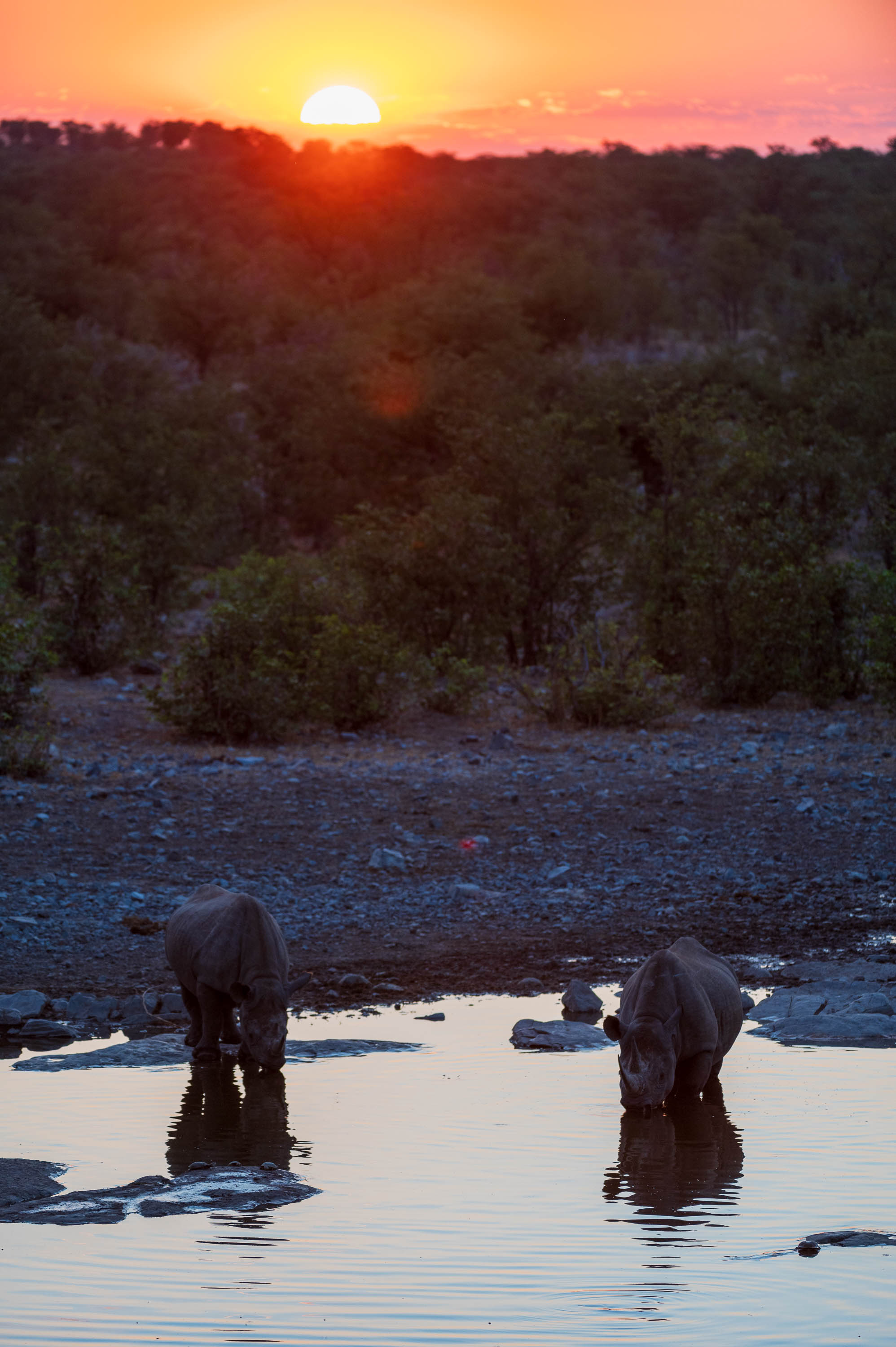 Afrika Reisefotografie 77