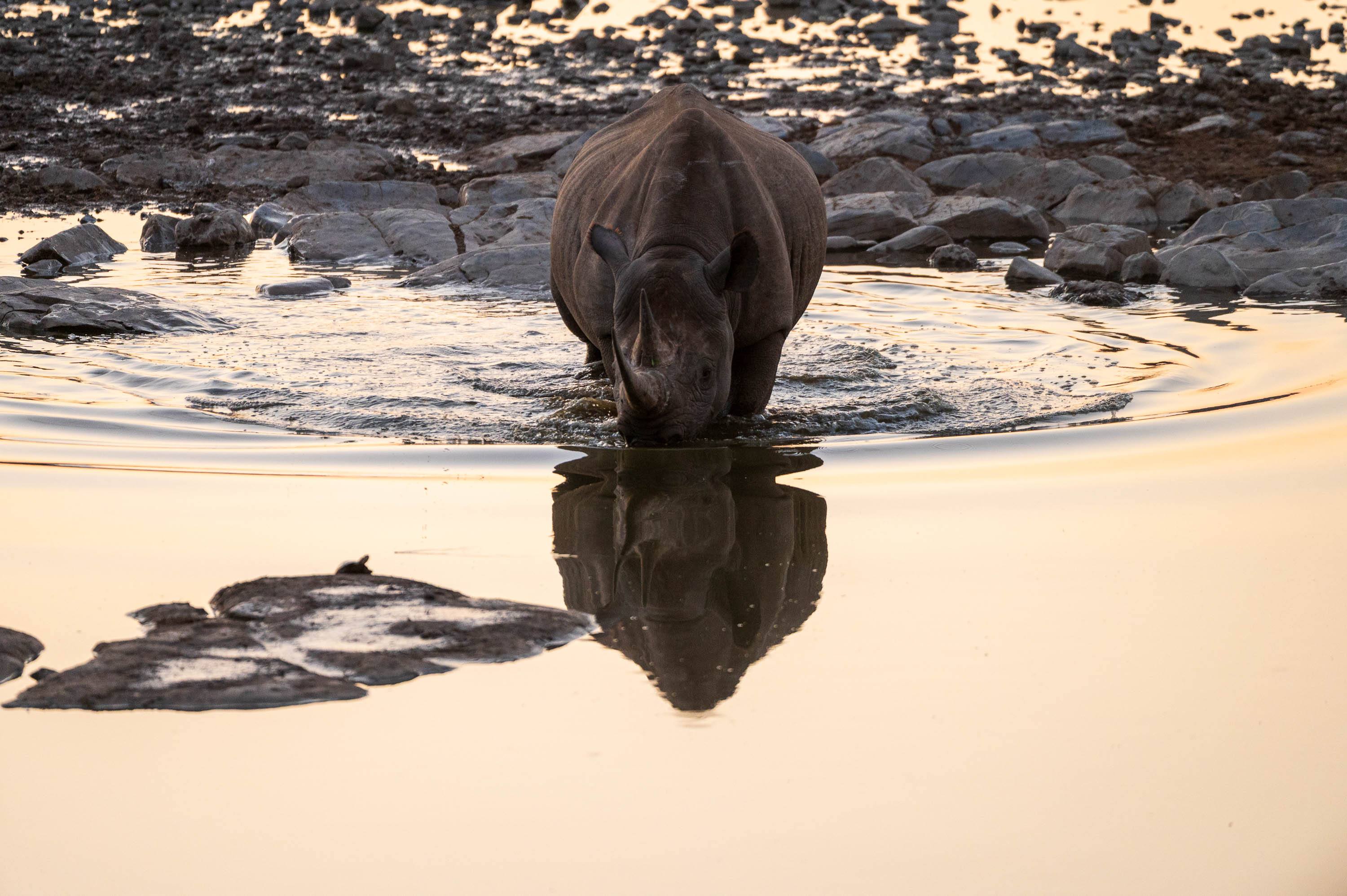 Afrika Reisefotografie 79