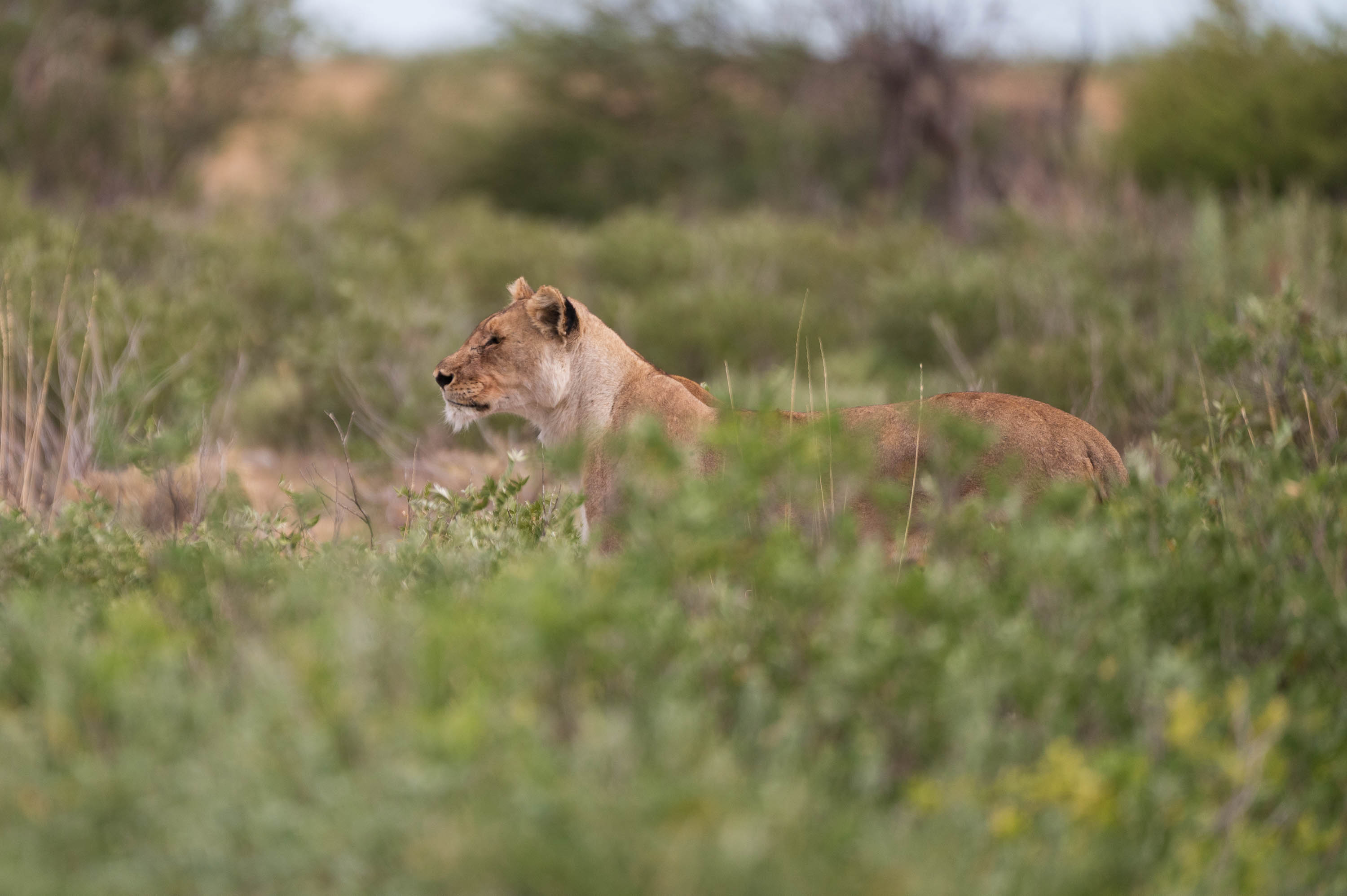 Afrika Reisefotografie 80