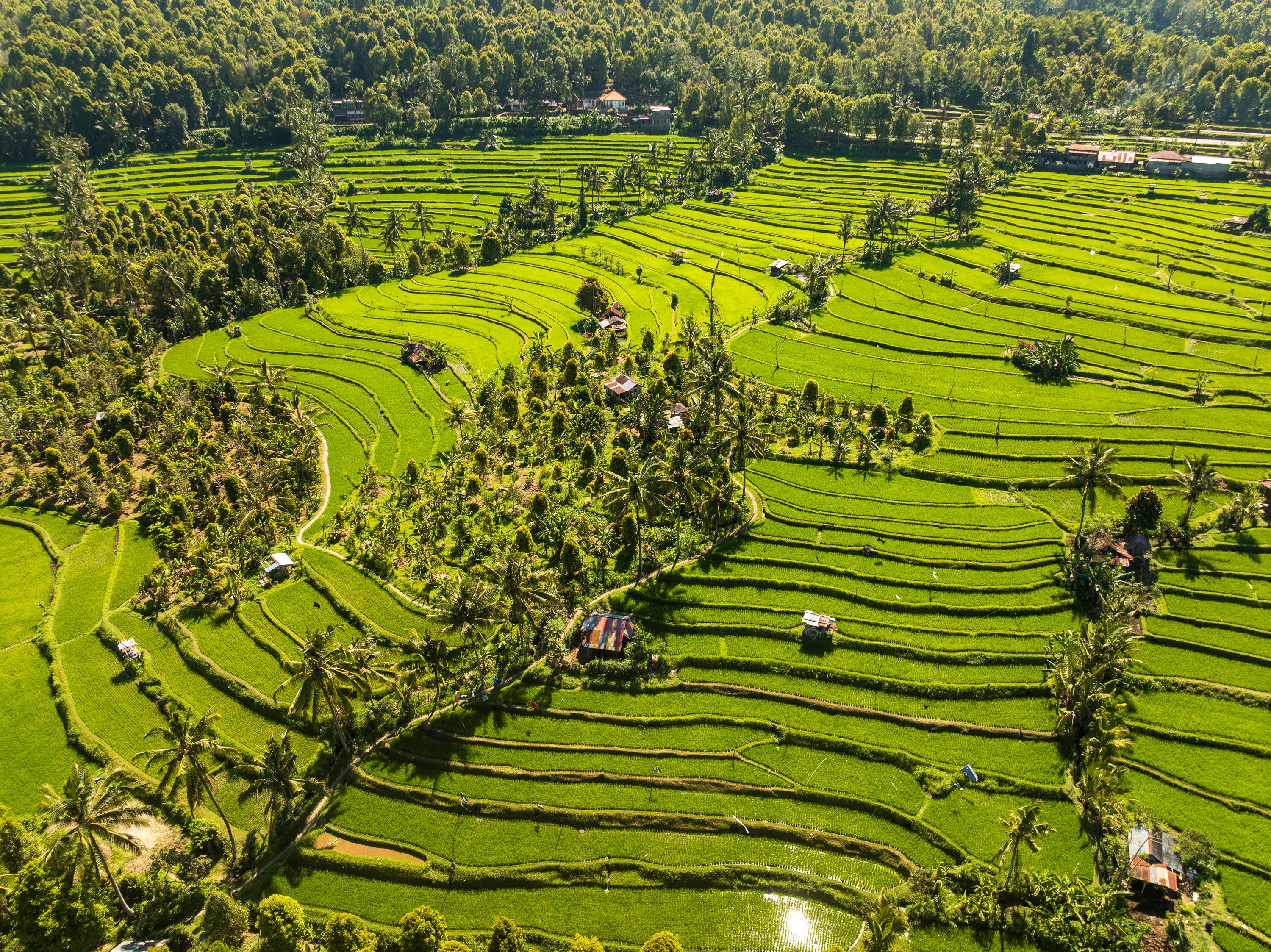 Asien Reisefotografie 34