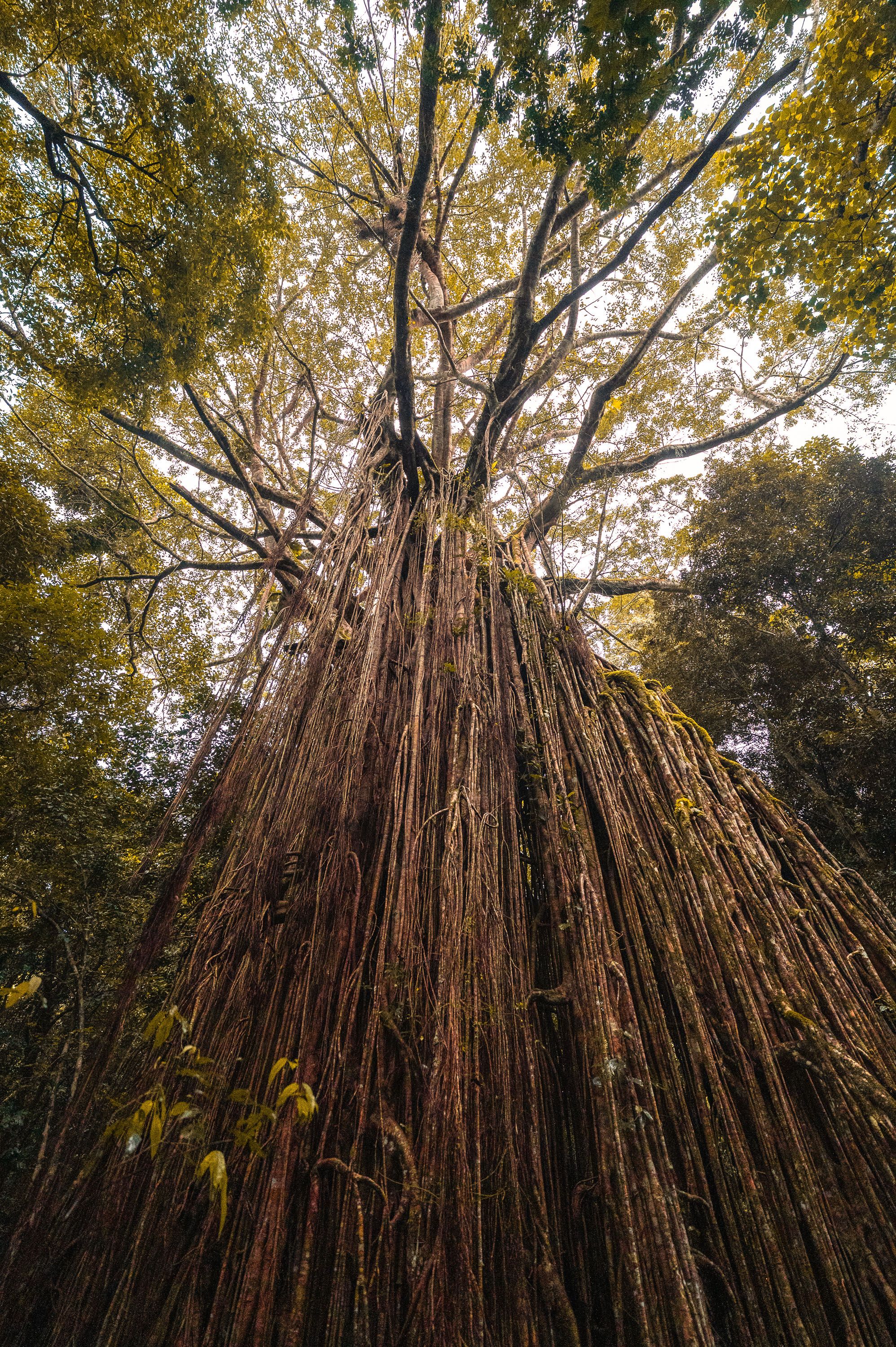 Ozeanien Reisefotografie 21