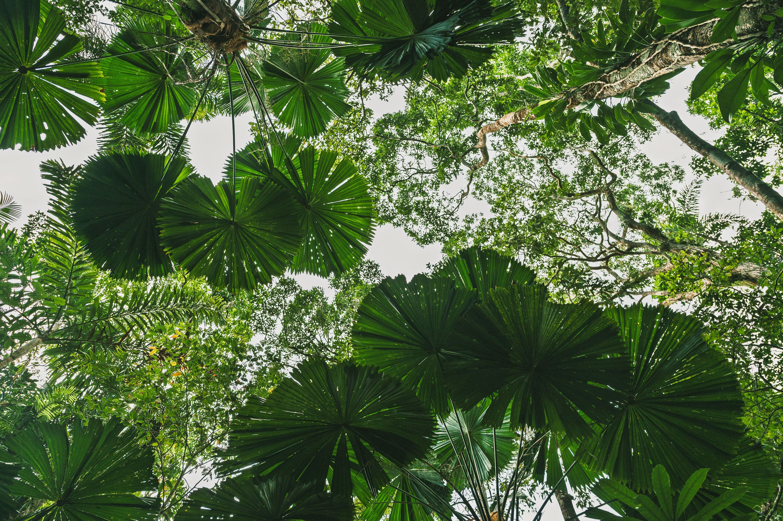 Ozeanien Reisefotografie 23