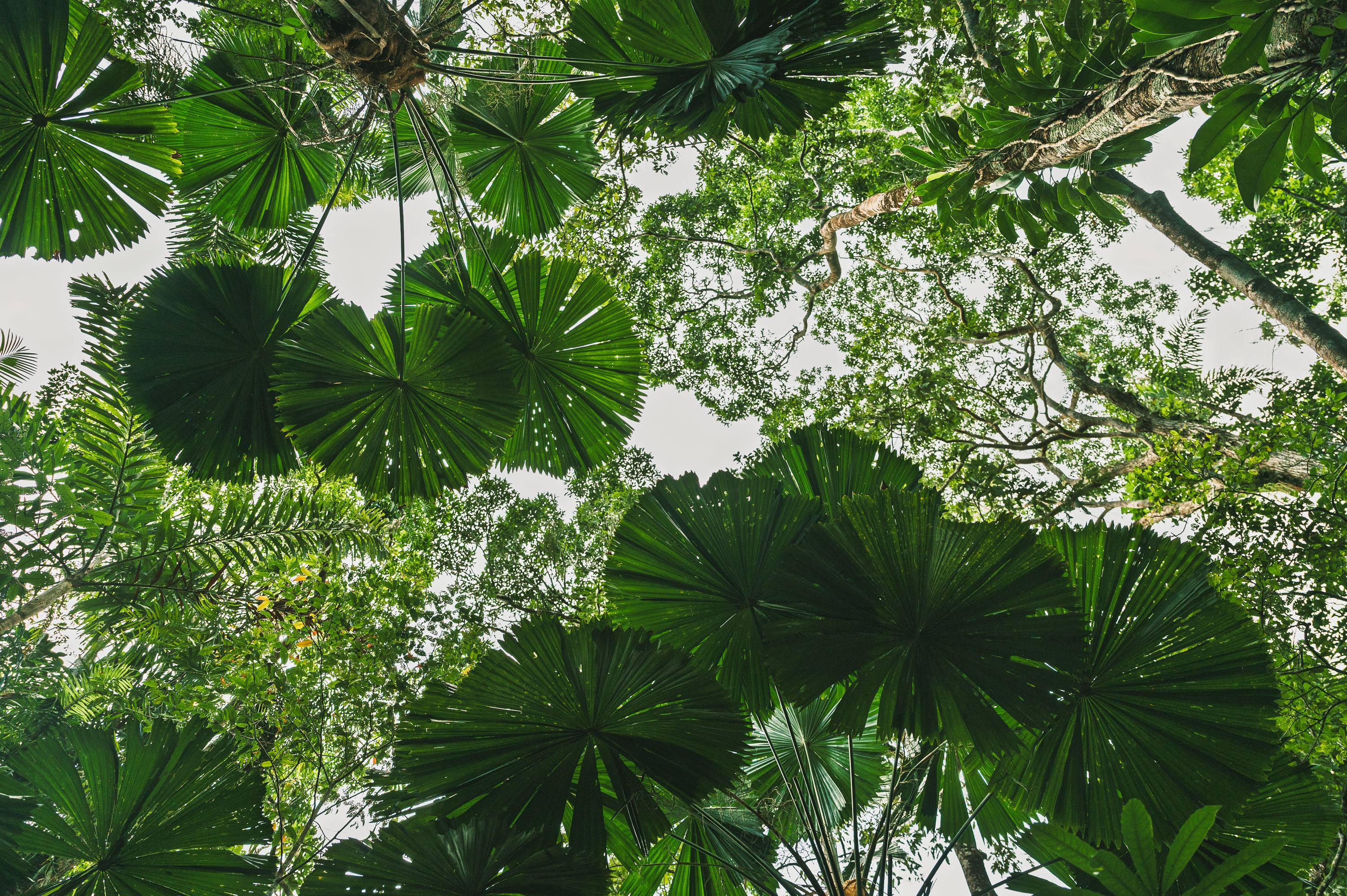 Ozeanien Reisefotografie 23