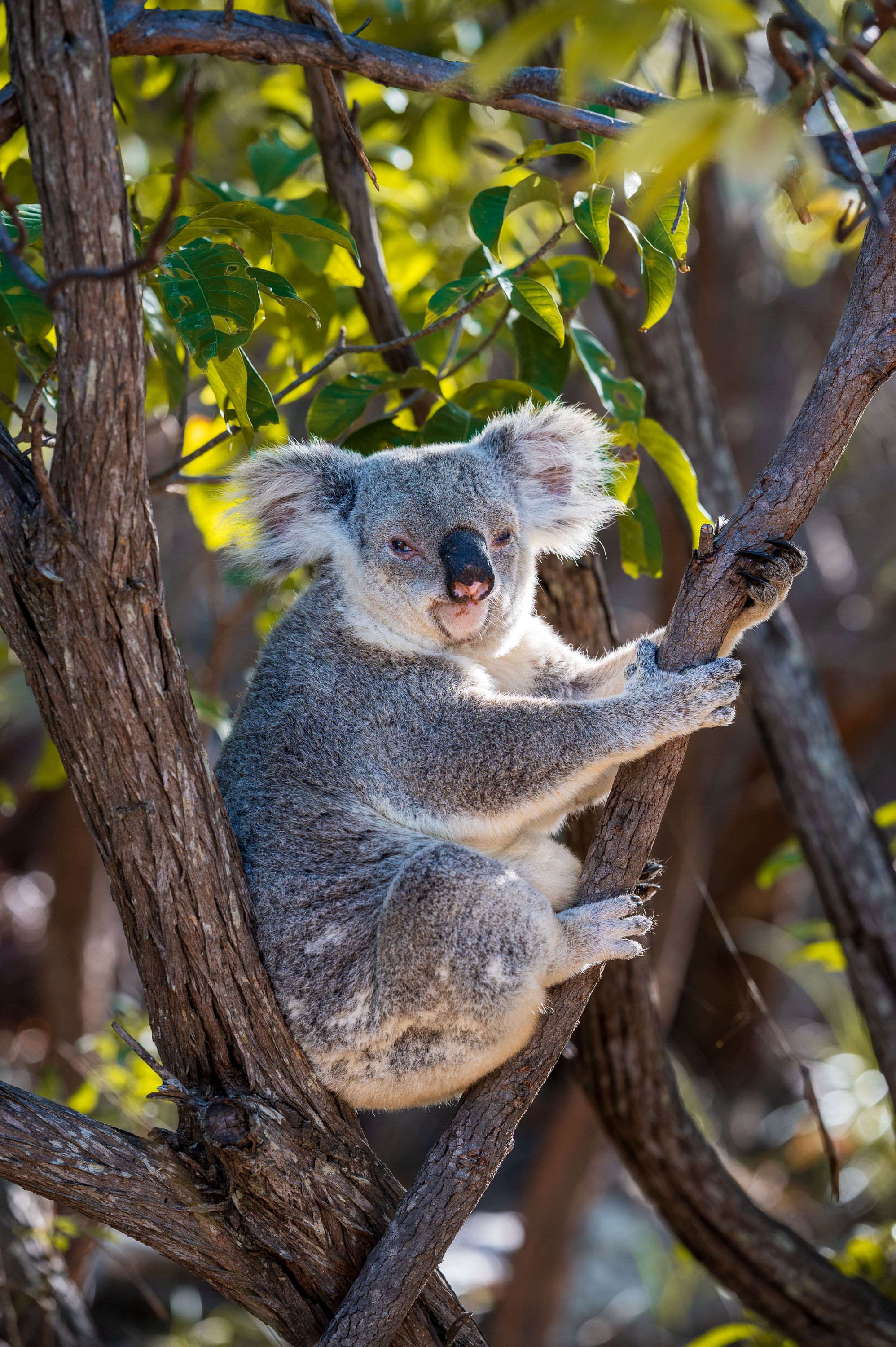 Ozeanien Reisefotografie 24