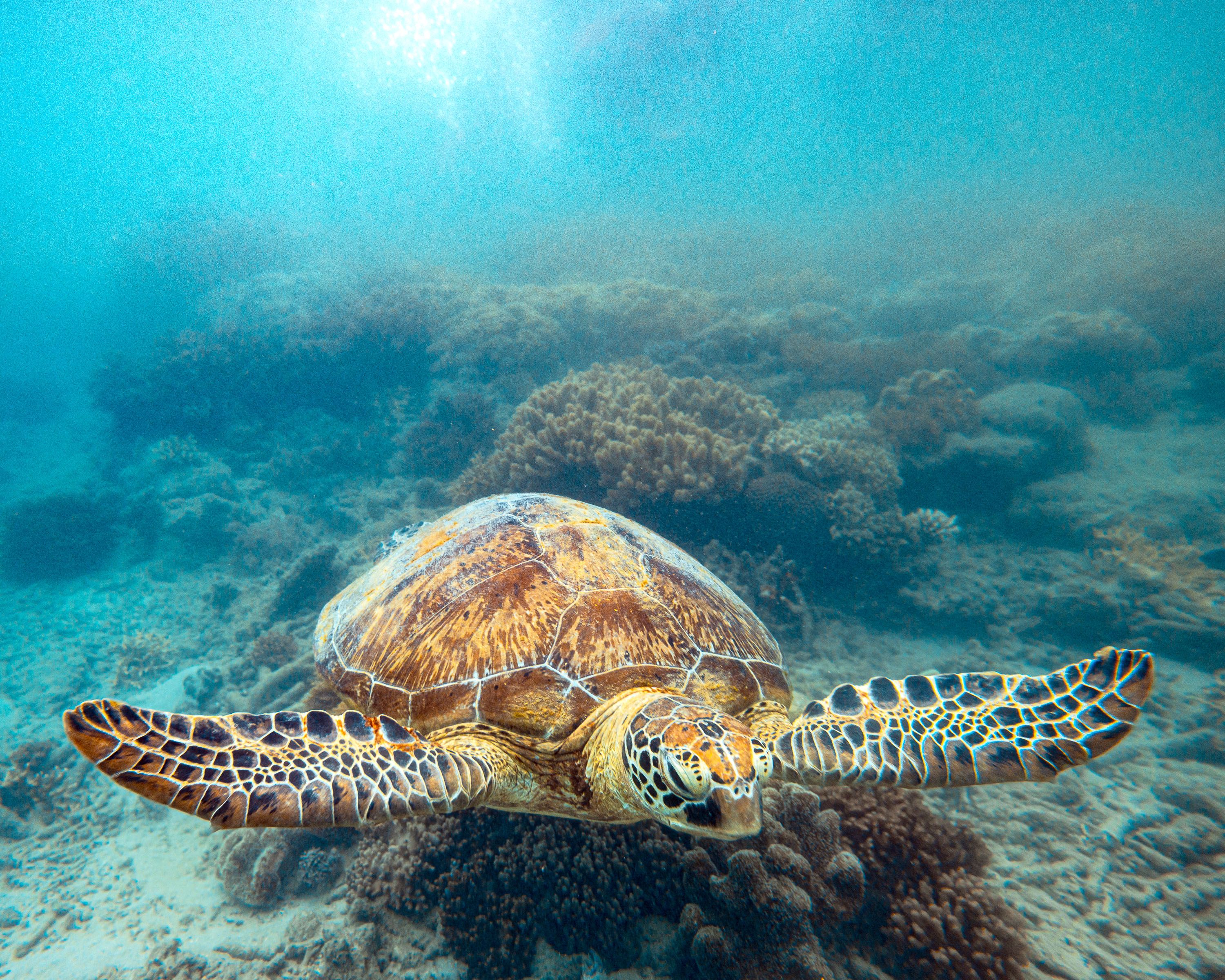 Ozeanien Reisefotografie 26