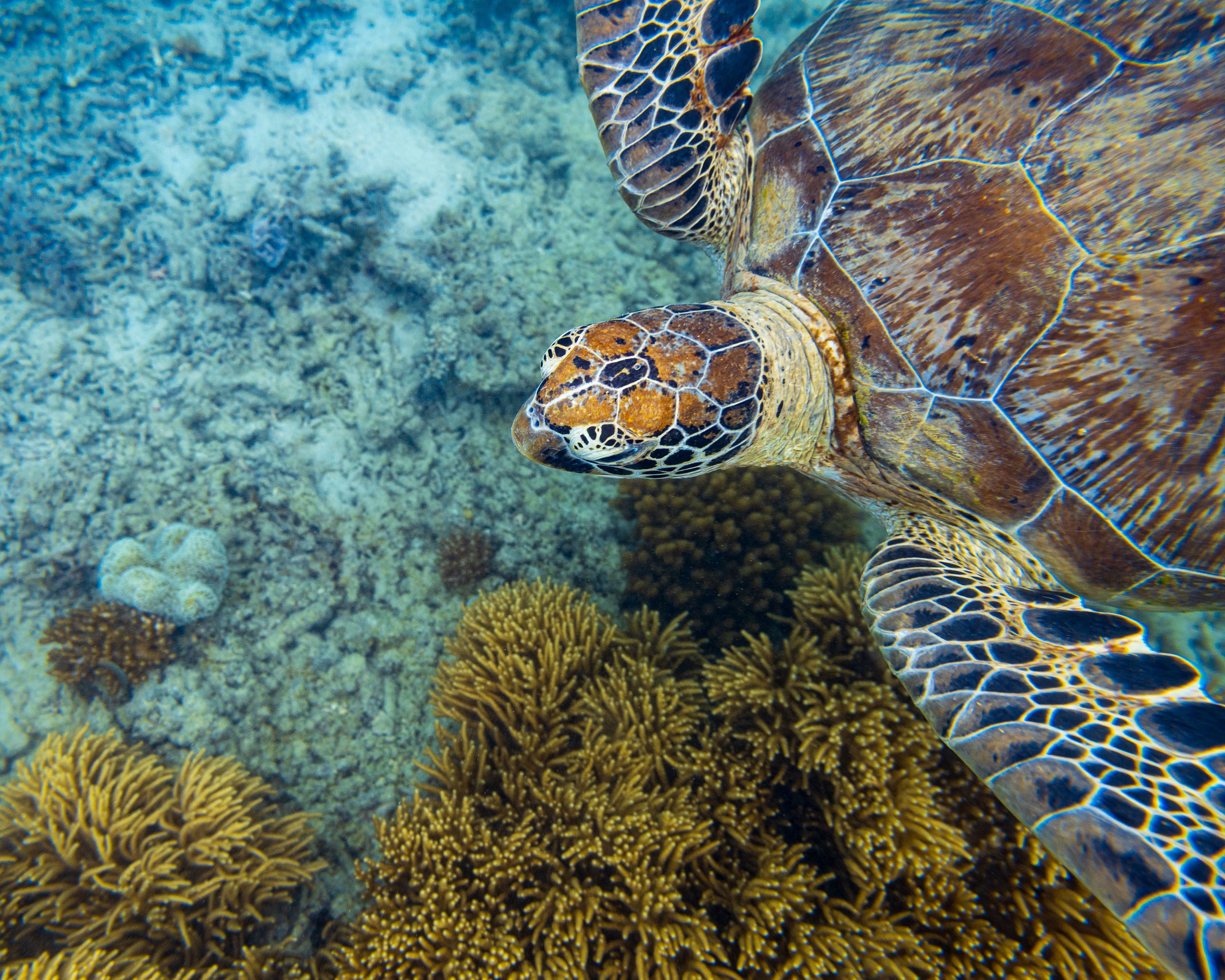 Ozeanien Reisefotografie 27