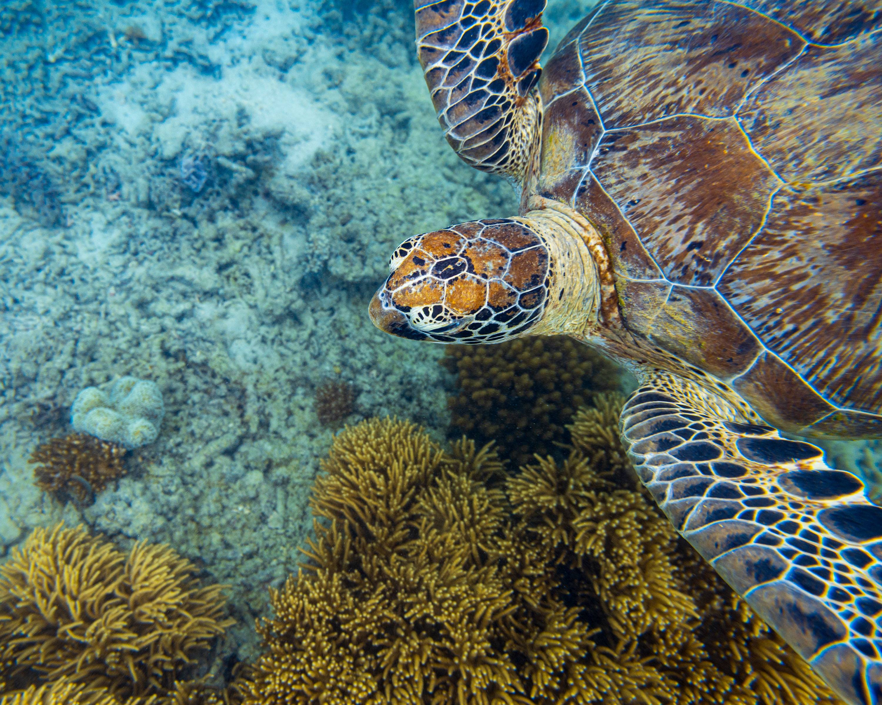 Ozeanien Reisefotografie 27