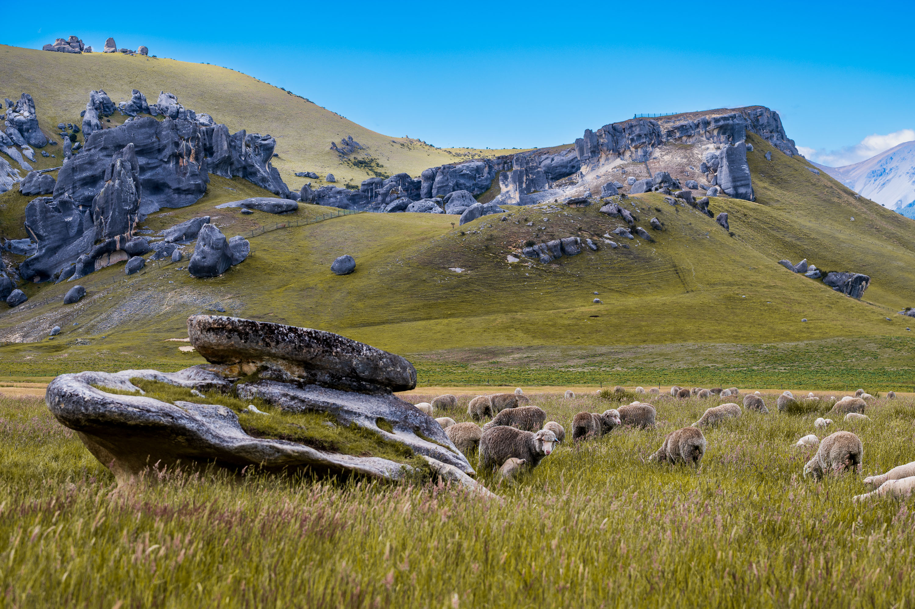 Ozeanien Reisefotografie 47