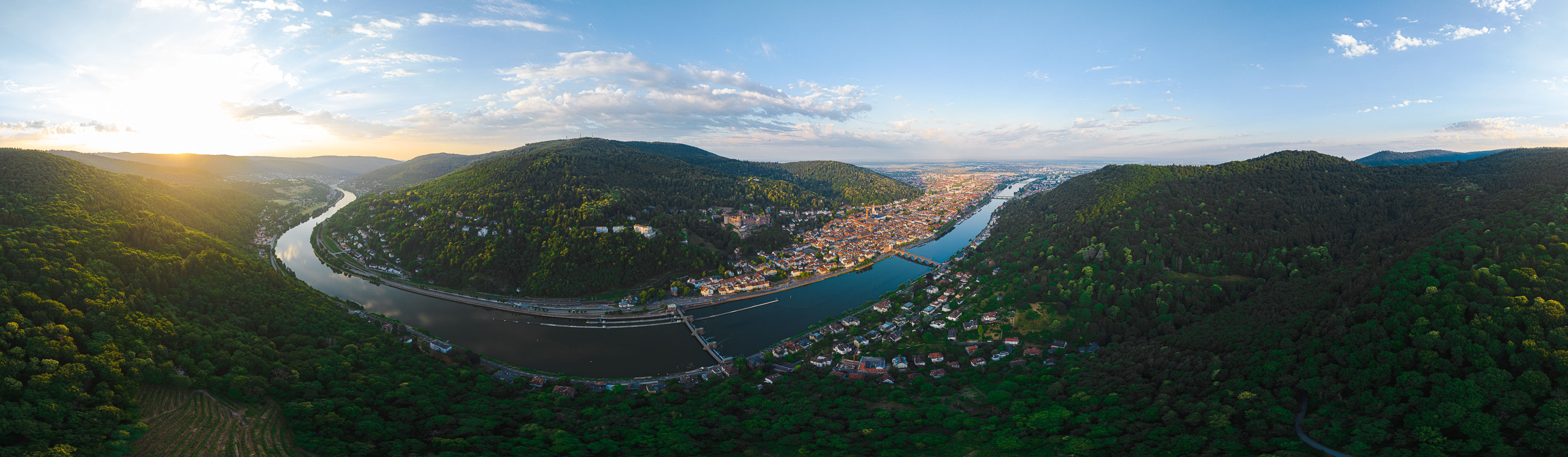 Blick über Heidelberg mit Altstadt, Neckar und Schloss